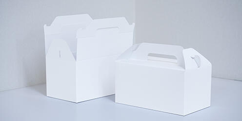 bag-paper_carry_01.jpg